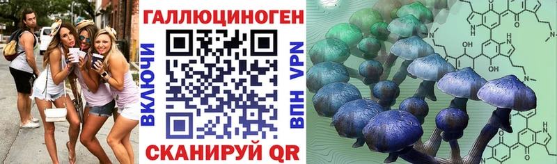 купить   Углич  Галлюциногенные грибы Cubensis 